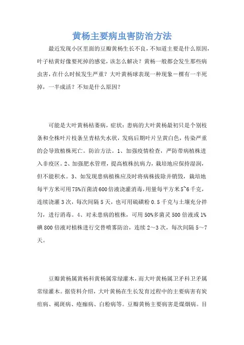 黄杨主要病虫害防治方法