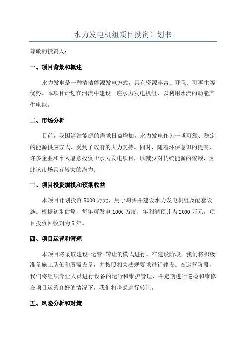 水力发电机组项目投资计划书