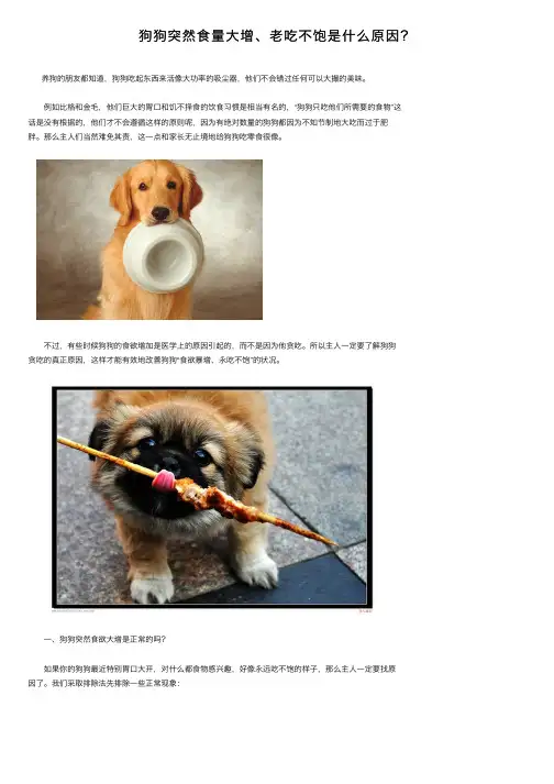 狗狗突然食量大增、老吃不饱是什么原因？