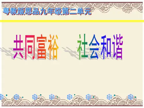初中政治  走共同富裕道路PPT课件4 苏教版  优秀公开课件