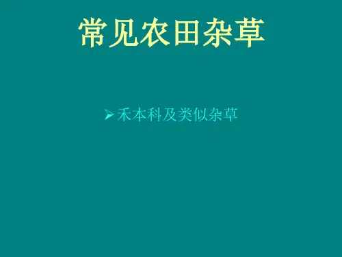 《常见农田杂草》PPT课件