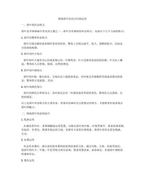 国画荷叶知识点归纳总结