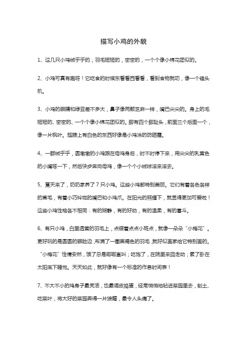描写小鸡的外貌