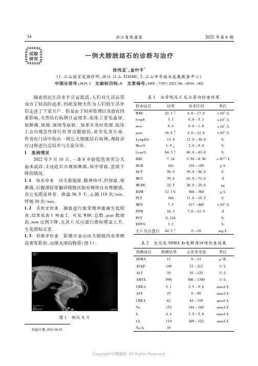 一例犬膀胱结石的诊断与治疗