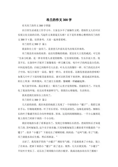 吊兰的作文300字