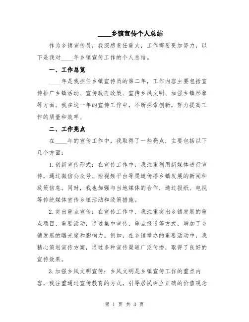2024乡镇宣传个人总结