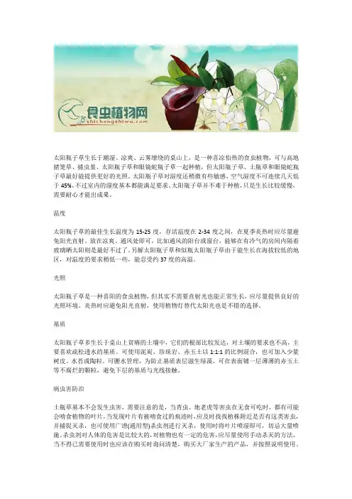 种植太阳瓶子草 - 瓶子草科(Sarraceniaceae)中的太阳瓶子草属(Heliamphora) - 食虫植物资料