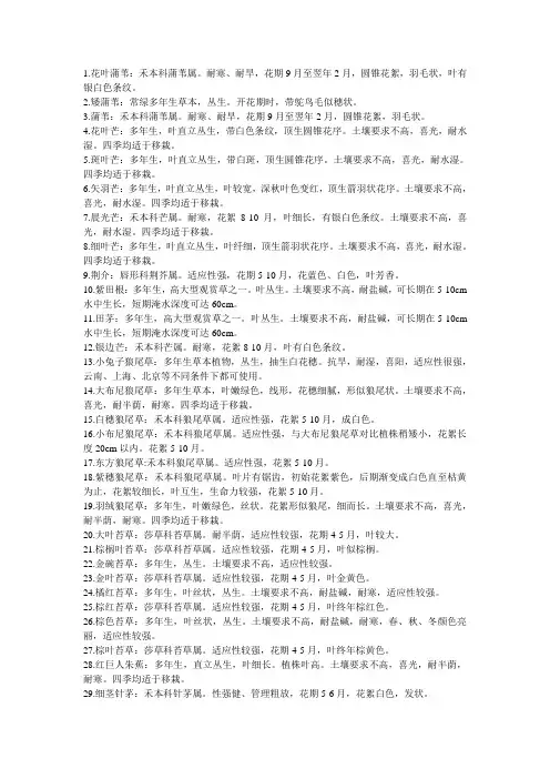 精文观赏草介绍