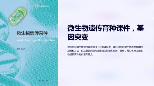 微生物遗传育种课件,基因突变