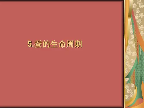 三年级下册科学课件蚕的生命周期 教科版 (共15页)PPT