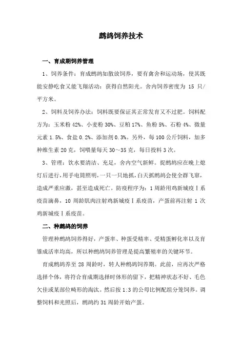 鹧鸪饲养技术