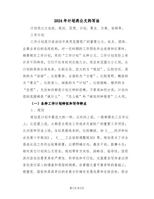 2024年计划类公文的写法(二篇)
