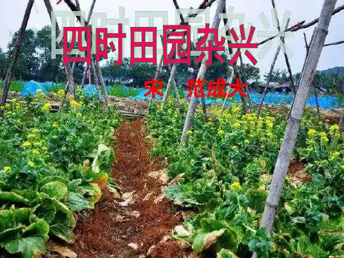1古诗四时田园杂兴