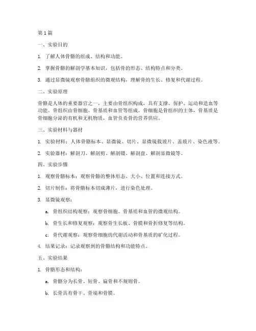 解剖研究骨的实验报告(3篇)