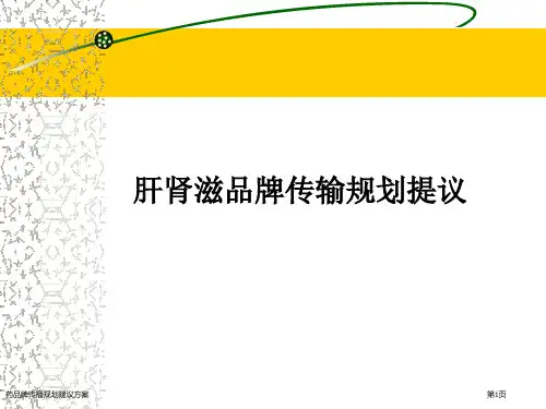 药品牌传播规划建议方案