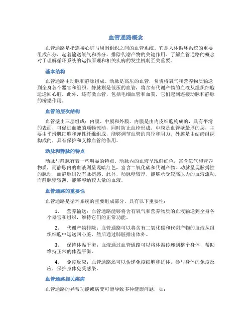 血管通路概念