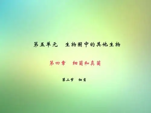 八年级生物上册第五单元第四章第二节细菌课件(新版)新人教版