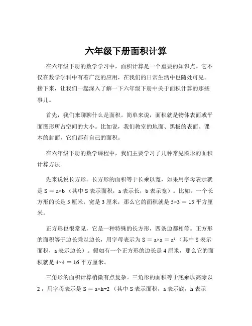 六年级下册面积计算