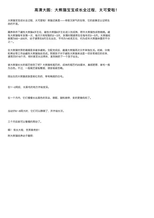 高清大图：大熊猫宝宝成长全过程，太可爱啦！