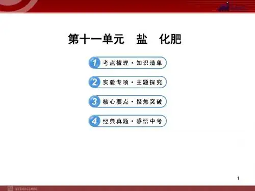 新人教版中考化学专题复习课件：第11单元 盐和化肥