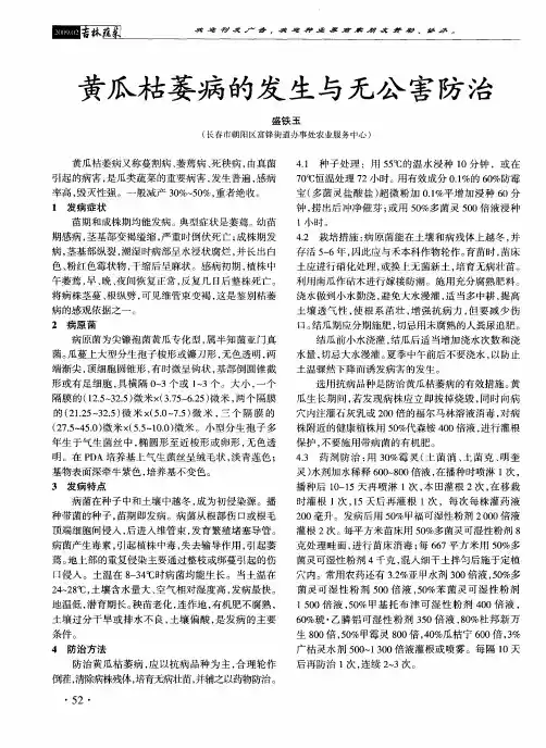 黄瓜枯萎病的发生与无公害防治