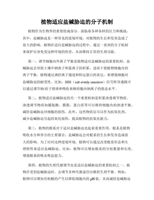 植物适应盐碱胁迫的分子机制