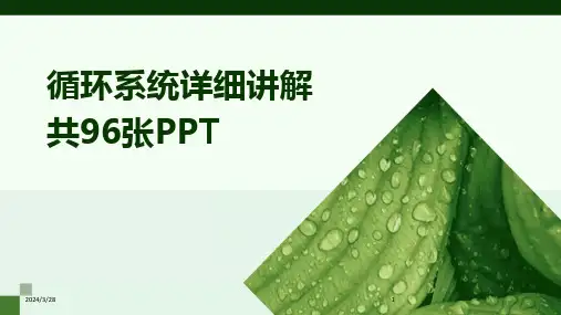 循环系统详细讲解共96张PPT-2024鲜版