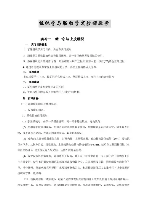 组织学与胚胎学实验课教案
