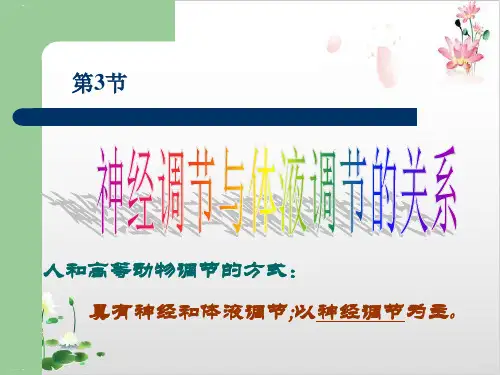 神经调节与体液调节的关系-ppt精品课件