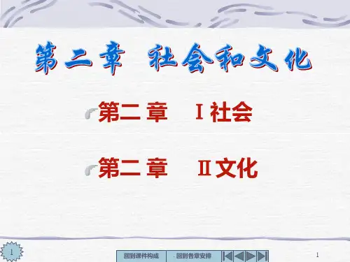 《社会和文化》PPT课件
