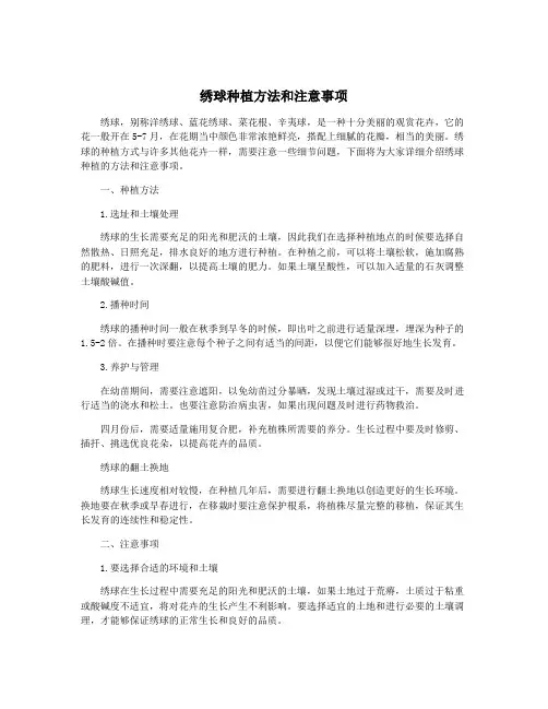 绣球种植方法和注意事项
