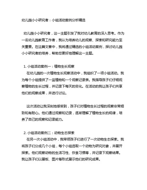 幼儿园小小研究者：小组活动案例分析精选