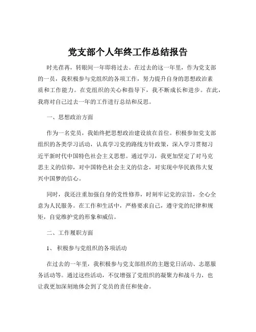 党支部个人年终工作总结报告