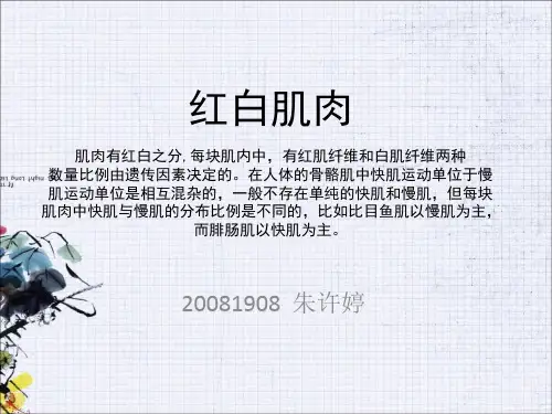 红白肌比例与运动员挑选的相关关系
