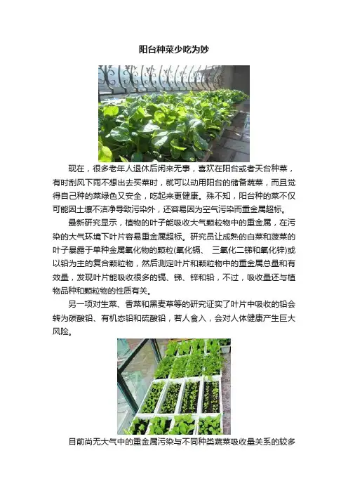 阳台种菜少吃为妙