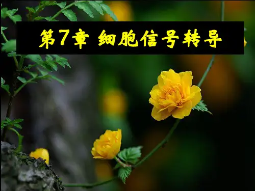 植物生理学：第7章 细胞信号转导