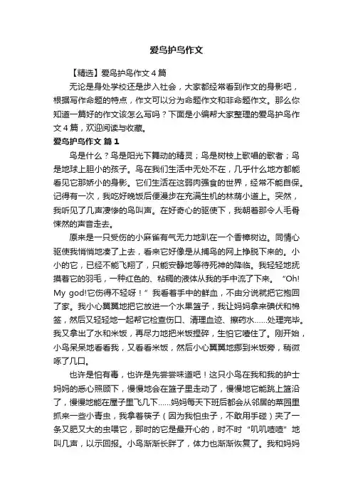 【精选】爱鸟护鸟作文4篇