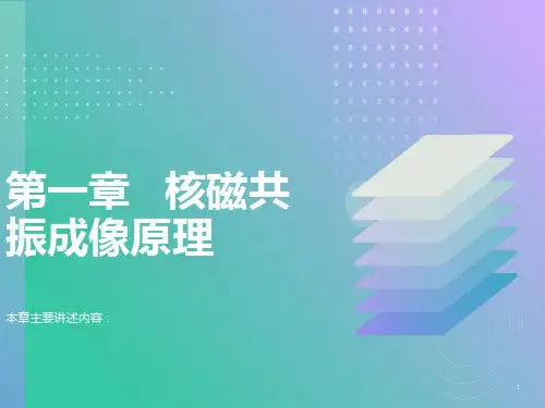 核磁共振原理(经典由简入深)