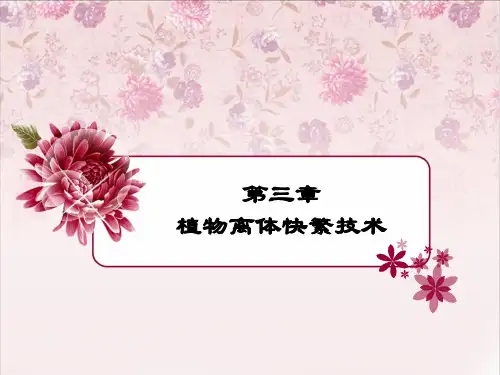 植物离体快繁技术..