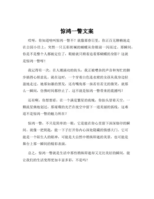 惊鸿一瞥文案