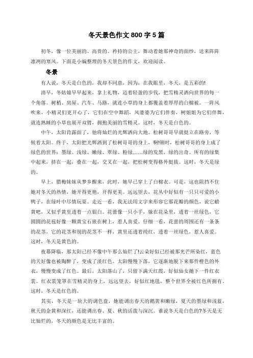 冬天景色作文800字5篇