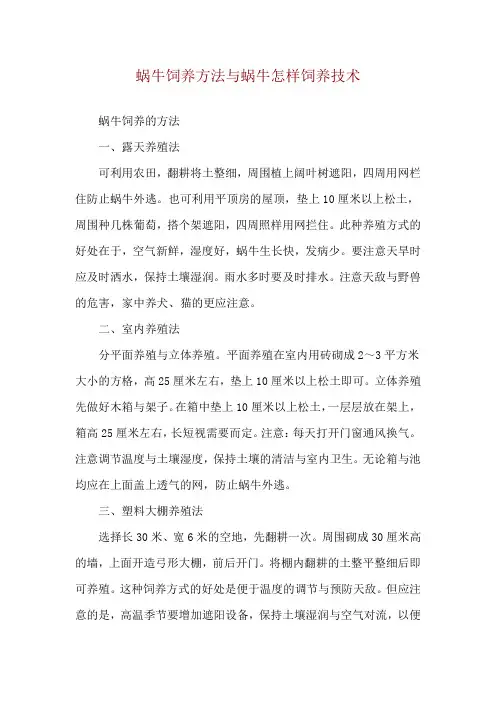 蜗牛饲养方法与蜗牛怎样饲养技术