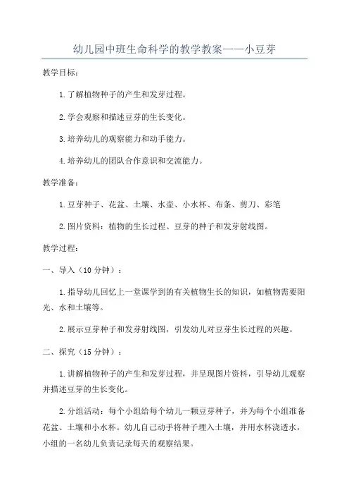 幼儿园中班生命科学的教学教案——小豆芽