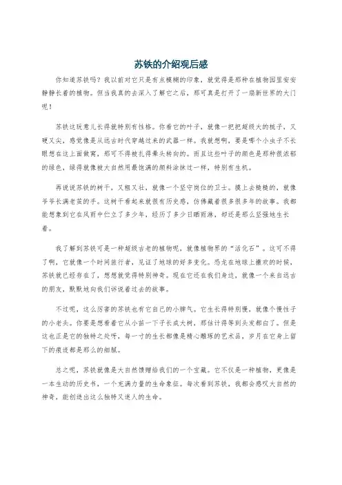 苏铁的介绍观后感