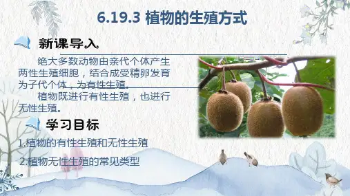 6.16.3植物的生殖方式课件北师大版生物学八年级上册【01】