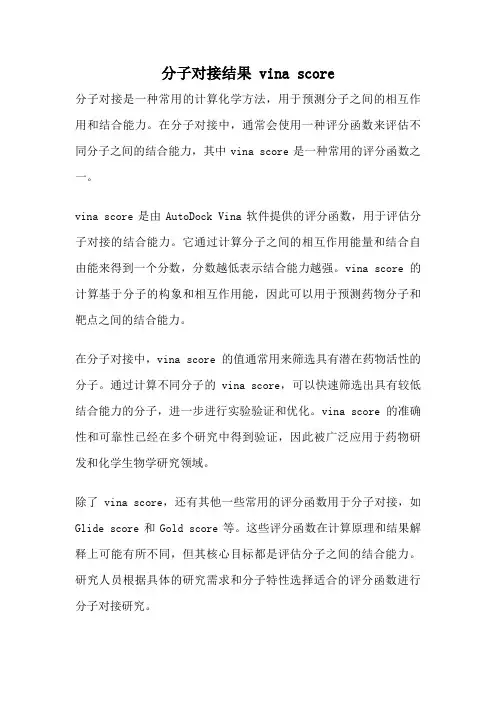 分子对接结果 vina score
