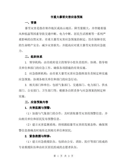 市重大暴雪灾害应急预案