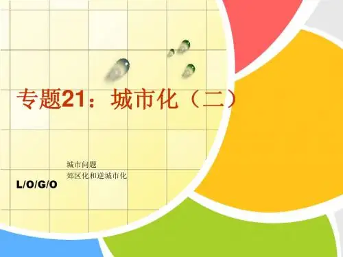 城市化：城市问题