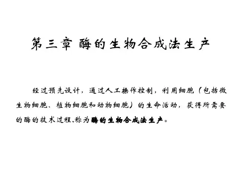 酶工程学-第四、五周生物合成详解