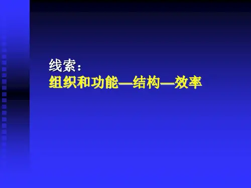 金融学培训课程-金融市场.ppt